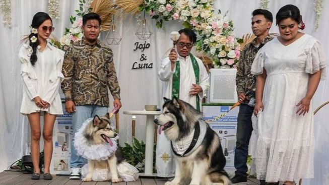 Viral Pernikahan Anjing di PIK, Ini Dia Sosok Pemilik Jojo dan Luna