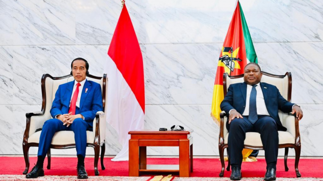 Jokowi Beberkan Komitmen Indonesia Perkuat Kemitraan dengan Mozambik