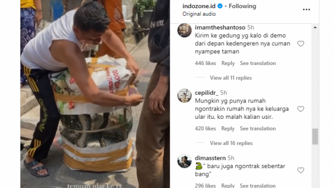 Lama Ditinggalkan Pemilik, Warga Temukan Belasan Ular Sanca Bersarang di Rumah Kosong di Jakarta