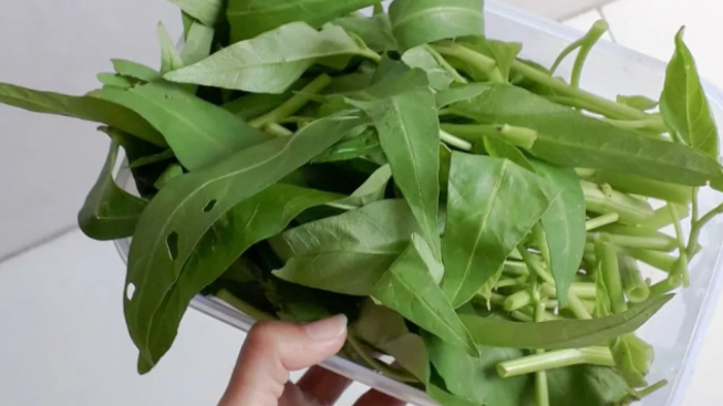 Paling Pas Sama Nasi, Ini Resep Praktis Tumis Kangkung