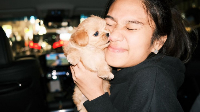 Ramai Istri Pratama Arhan Pelihara Anjing Lucu: Apa Agama Azizah Salsha? Ini Biodatanya