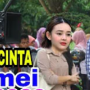 CEK FAKTA: Amanda Manopo Datang ke Lokasi Syuting Ikatan Cinta Demi Bertemu Arya Saloka, Benarkah?