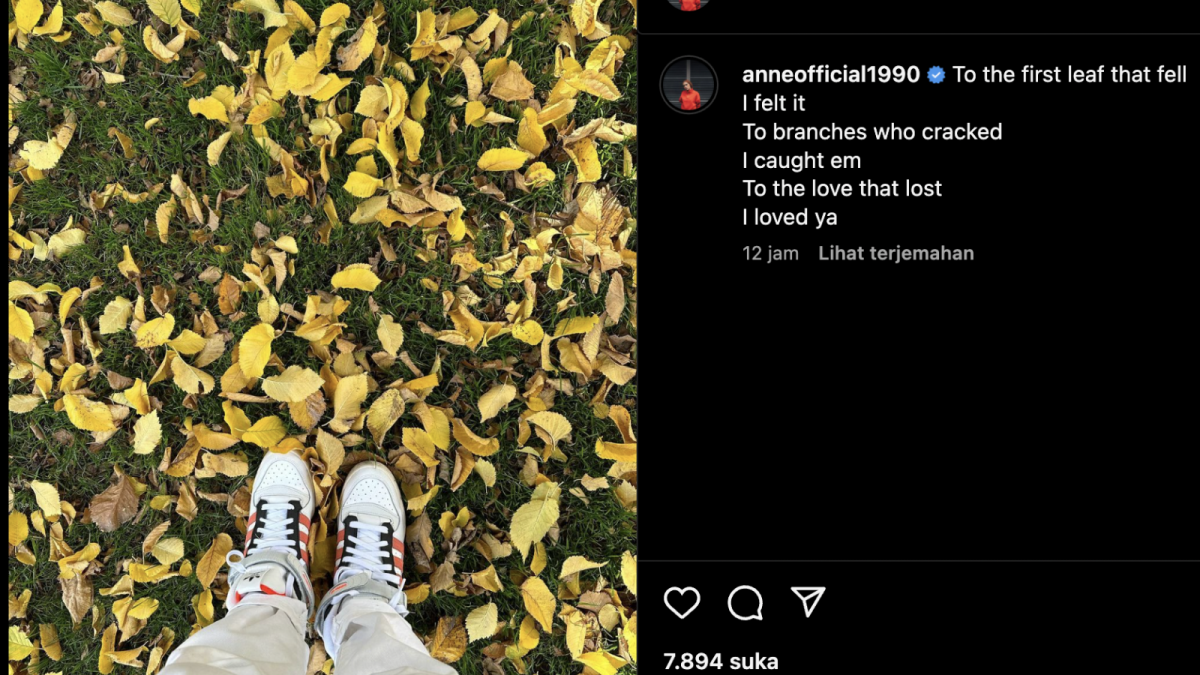Postingan Putri Anne