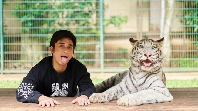 Alshad Ahmad Diperiksa Kementerian Lingkungan Hidup Terkait Kematian 7 Harimau