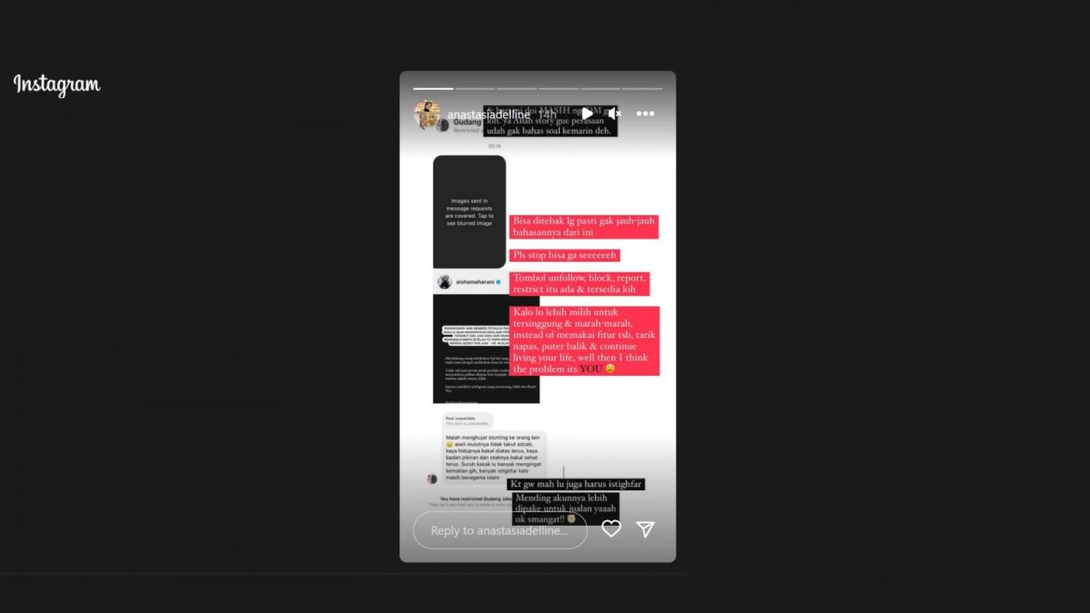 Instagram Stories Anastasia Adelline. [[screenshot]]