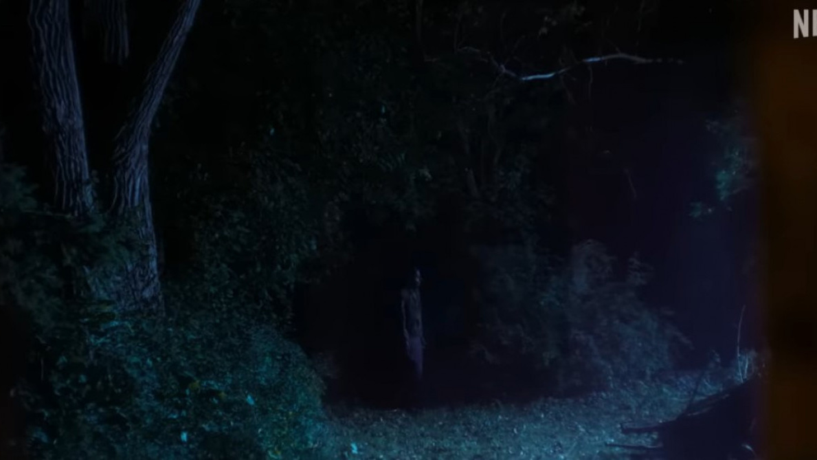 THE DEVIL ON TRIAL. [[YouTube/Netflix]]