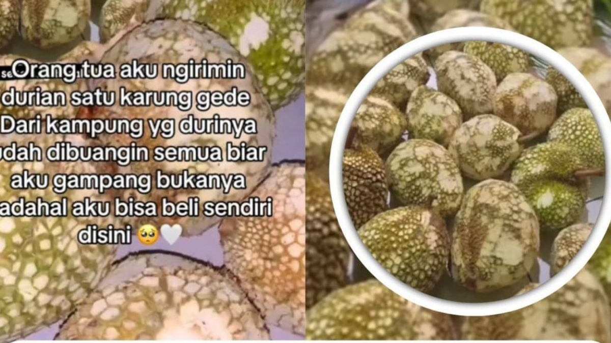 Buah durian yang sudah dipotong durinya [(TikTok)]