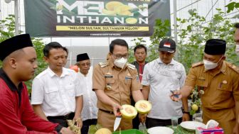 Santri Tani Milenial Darul Amal Metro Panen Perdana Melon Inthanon