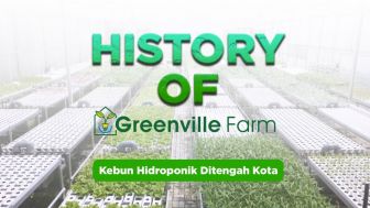 UMKM Greenville Farm Sulap Pusat Olahraga jadi Kebun Hidroponik