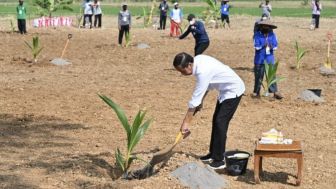 Presiden Jokowi Dorong Pemanfaatan Lahan Pekarangan dan Lahan Tidak Produktif