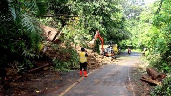 Waspada! Setiap Hari Terjadi Longsor di Jalur Liwa-Krui, Setengah Badan Jalan Tergerus