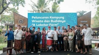 Desa Amed Kembangkan Wisata Lobster Farm