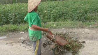 Kisah Kakek 76 Tahun Penambal Lubang Jalan Penghubung Dua Kabupaten
