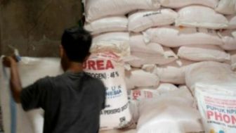 Stok Pupuk Subsidi Lampung Capai 29.144 ton