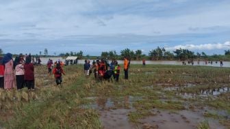 Satu Korban Banjir Bandang Lamsel Ditemukan, Basarnas Cari Lainnya