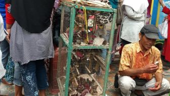 Rekening Bank Seorang Pedagang Burung di Madura Dibekukan Lembaga Penegak Hukum, Saldonya Cuma Segini