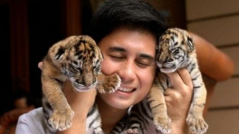 WWF Indonesia Kecam Kematian Anak Harimau Alshad Ahmad: Satwa Liar Bukan Peliharaan!