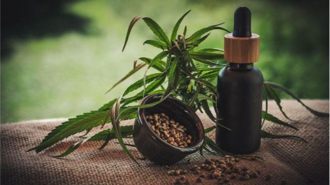 Selama Pandemi,Konsumsi Ganja Naik di Negara-negara yang Melegalkannya