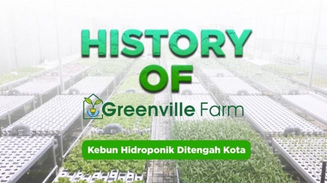 UMKM Greenville Farm Sulap Pusat Olahraga jadi Kebun Hidroponik