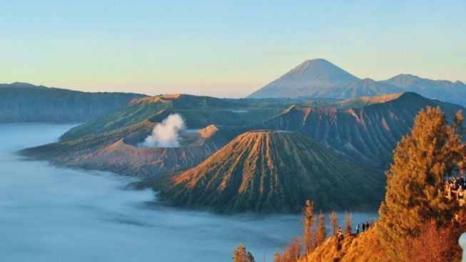 Usai Heboh Kebakaran Dipicu Flare Prewedding, Akses ke Kawasan Wisata Bromo Akhirnya Ditutup