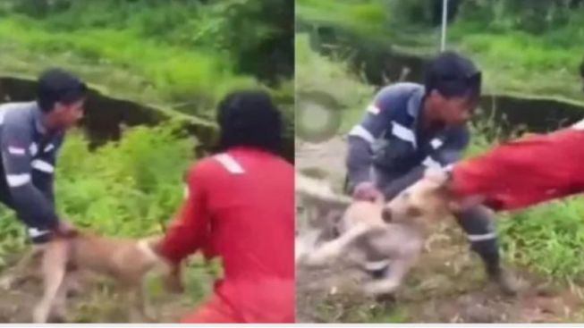 Viral Tindakan Animal Abuse Membuang Anjing ke Sungai Berisi Buaya di Nunukan Kalimantan Utara, Tiga Lelaki Jadi Tersangka