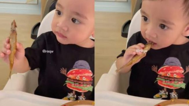 Cipung Lahap Makan Ikan Shisamo Viral di TikTok, Berapa Harganya?