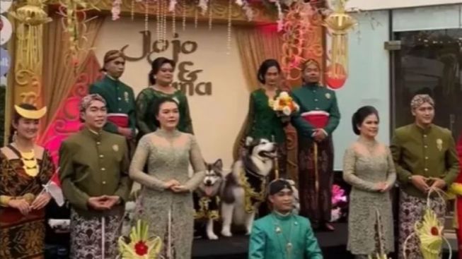 Viral dan Fenomenal Pesta Nikah Mewah  Satwa Peliharaan Dapat Somasi dari PPY dan PEPARI