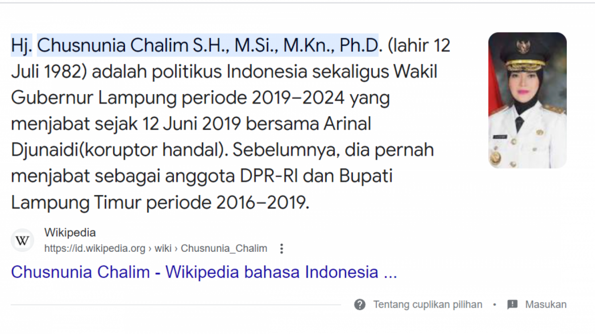 Wikipedia Wakil Gubernur Lampung