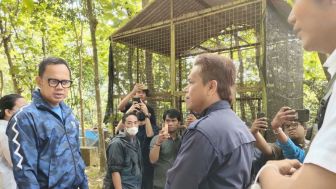 2 Monyet Mati Diduga Tak Terawat, Wali Kota Bima Arya Instruksikan Mini Zoo Bogor Ditutup Sementara