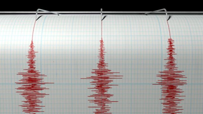 Gempa Berkekuatan Magnitudo 7,9Terjang Maluku, Berpotensi Tsunami!