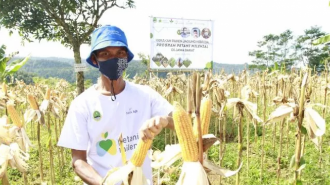 Viral Pemuda Terlilit Utang Gegara Ikut Program Petani Milenial Ridwan Kamil, Begini Tanggapan Pemprov Jawa Barat