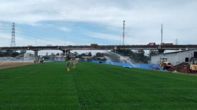 Heboh Rumput JIS Tak Sesuai Standar, Memang Seperti Rumput Standar FIFA?