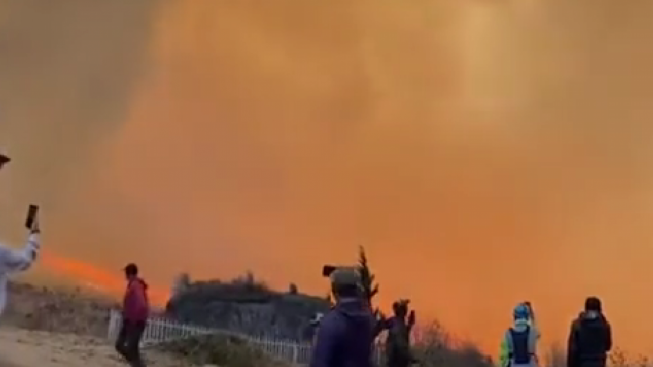 Viral Video Penampakan Tornado Api di Kawasan Savana Bromo, Flora dan Fauna Langka Berpotensi Hilang