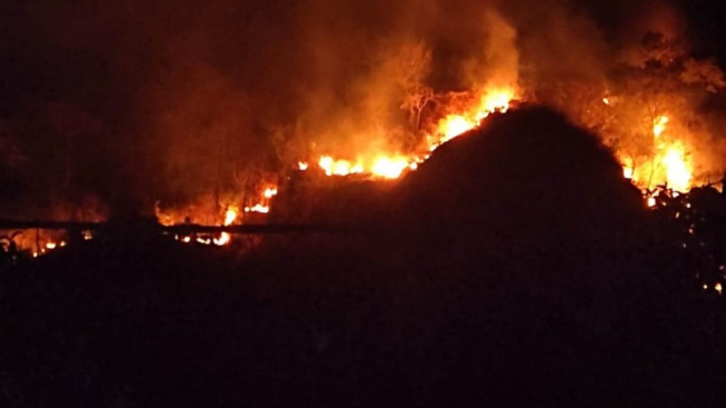 Penampakan Si Jago Merah yang Lahap Gunung Jayanti Sukabumi, Dugaan Kebakaraan Masih Diselidiki