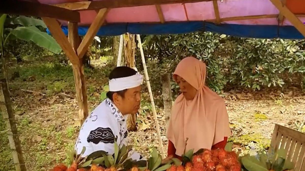 Dedi Mulyadi anggota DPR RI membeli rambutan di pinggir jalan [YouTube]