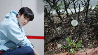 Moonbin Unggah Foto Dandelion di Tweet Terakhirnya, Bunga Ini Miliki Makna Mendalam, 'Kehidupan dan Penderitaan'