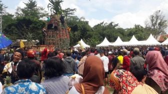 Ratusan Warga Perebutkan 5.000 Nanas di Gunung Kelud Kediri