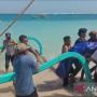 Tragis, Remaja di NTB Tenggelam di Pantai Tanjung Menangis dan Mayatnya Ditemukan di Pantai Maluk