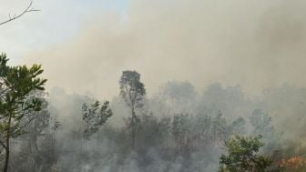 Gubernur Riau Meminta Masyarakat Tidak Membuka Lahan dengan Membakar