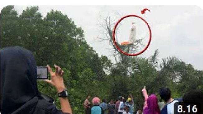 VIDEO Salat Jumat Selesai, Geger Pria Misterius Sholat di Atas Pohon, Ada yang Keluar Api, hingga Sosok Menyeramkan Mirip Kunti Terekam