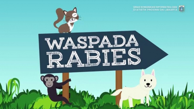 Waspada Rabies! Warga Pekanbaru Diimbau Berikan Vaksin pada Hewan Peliharaan