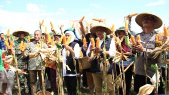 Khofifah: Jagung varietes Reog 234 milik Ponorogo Harus Segera Dipatenkan