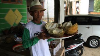 Liburan ke Madiun, Jangan Lupa Wisata Petik Buah Durian di Desa Suluk