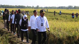 Presiden Meninjau Panen Raya di Ngawi Jawa Timur