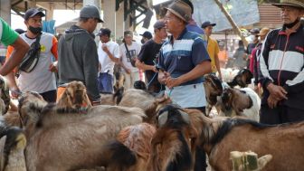 Maraknya Makelar di Pasar Hewan Ponorogo Jelang Idul Adha, Pembeli Ternak Meningkat Hanya 5 Persen