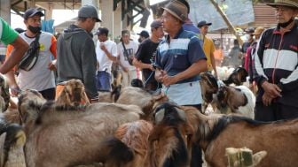 Dipertahankan Ponorogo Sarankan Masyarakat Pilih Hewan Kurban dengan Eartag untuk Jaminan Kesehatan