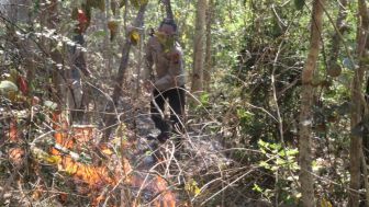 Kebakaran Hutan Rakyat di Jenangan Ponorogo: Puntung Rokok Diduga Penyebab, Luas Lahan Terbakar 20 Hektar