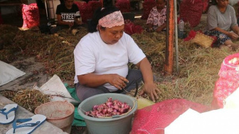 Anjloknya Harga Bawang Merah Ancam Kehidupan Petani Ponorogo