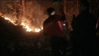 Kebakaran Hutan di Tanjungsari Ponorogo Mengancam Pemukiman dan Kandang Unggas.