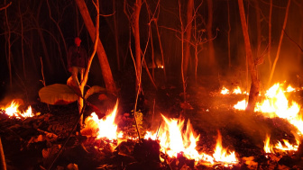 Breaking News: Kebakaran Hutan di Gunung Prongos Ponorogo, Meluas dan Membahayakan Pemukiman Warga